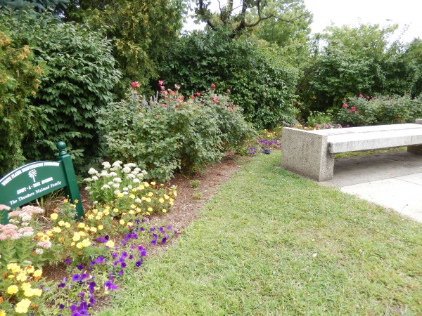 49-1-theadore malmud family garden