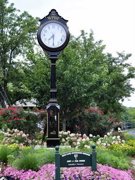 Golden Anniversary Clock