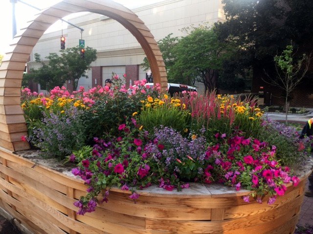 New Basket at Armory Place