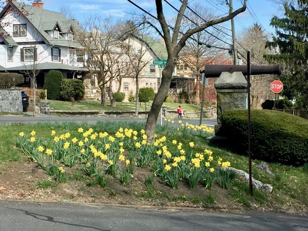 Park & Hillside Avenues