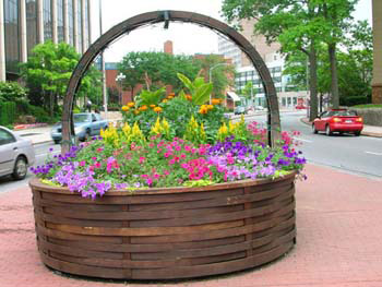 The Basket