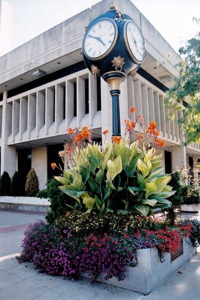 Millennium-clock1999-800