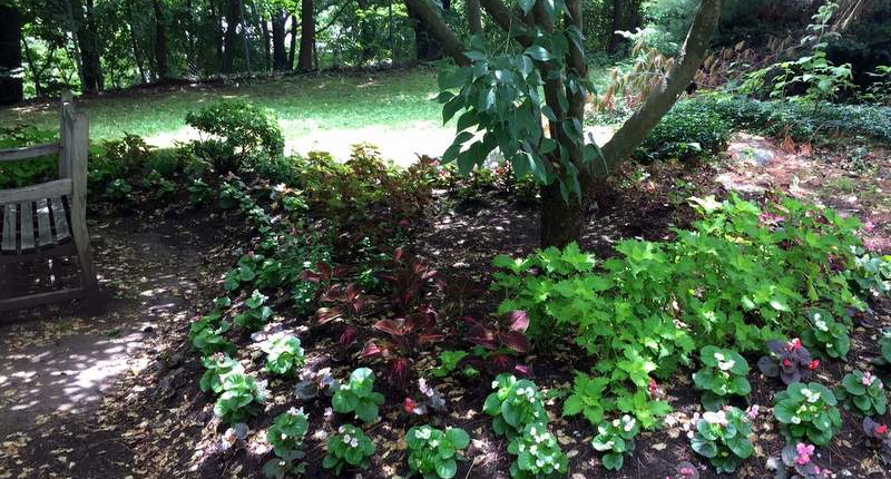 4-dagher 1-rb-801 Dagher Memorial Garden