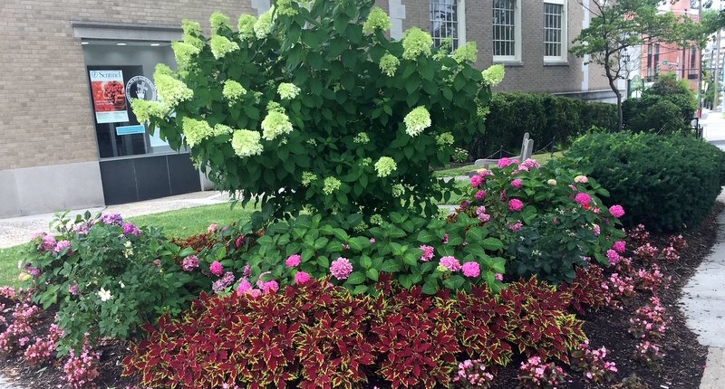 53-corner-2-rb-800 Corner Garden