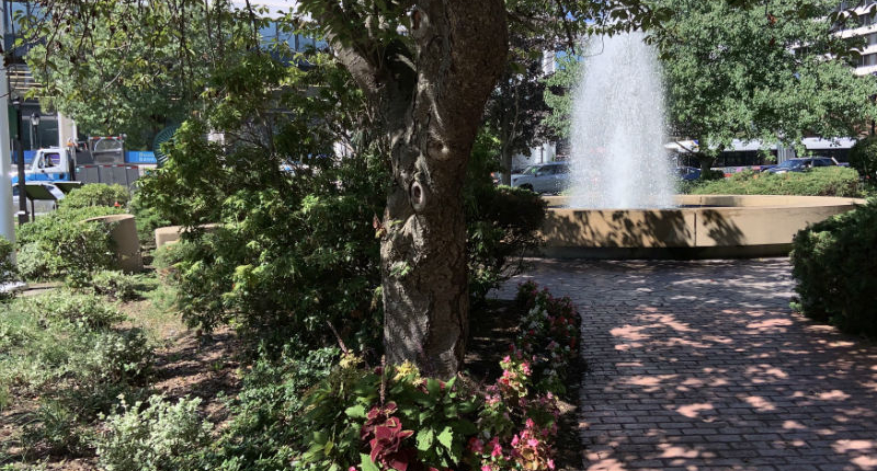 35-TRaintFountTwo-1-ng-2019-s Triantafillu Fountain Garden Two