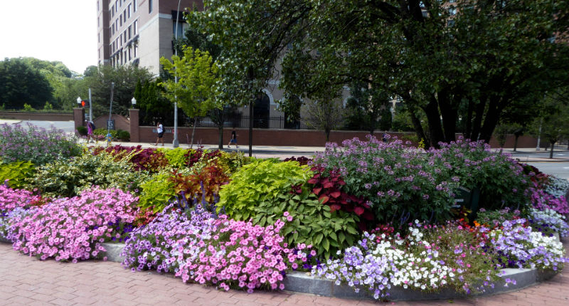 6-BankStOne-2-pb-2019-s Bank Street Garden One