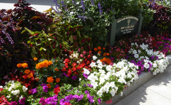 63-Dickstein-2-pb-2019-700 Dickstein Garden
