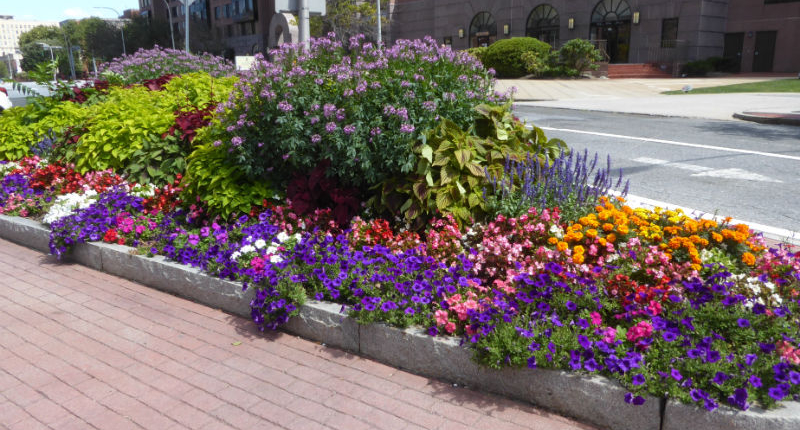 7-BankStTwo-1pb-2019-s Bank Street Garden Two
