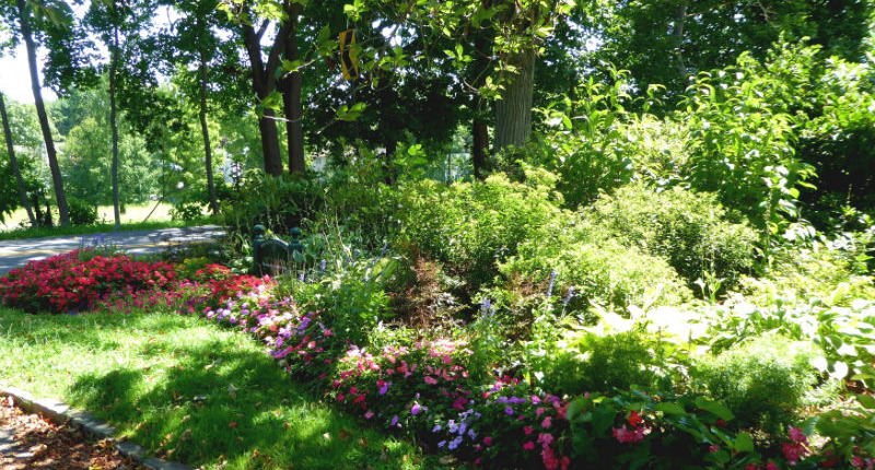73-Neighborhood-Gar-3-pb-2019-800 Neighborhood Garden