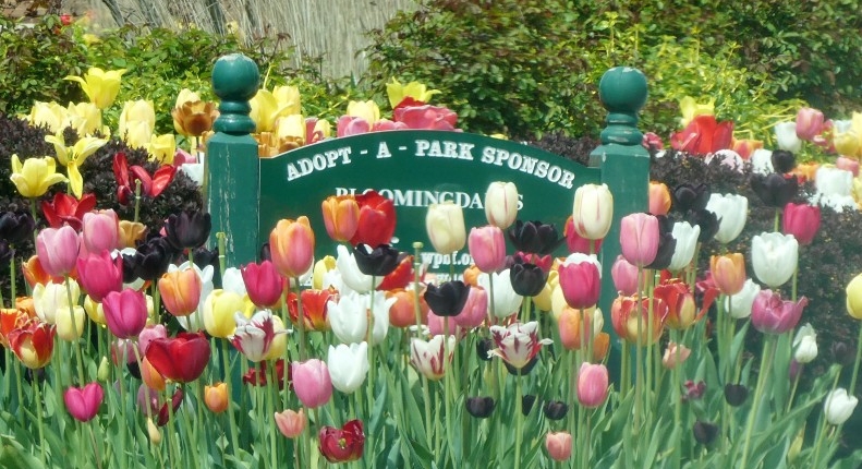 51-ilslandGarden-pb-1 Island Garden