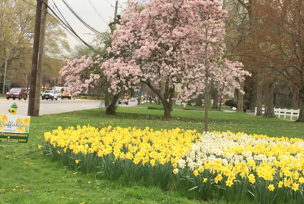 North Broadway & Park Avenue